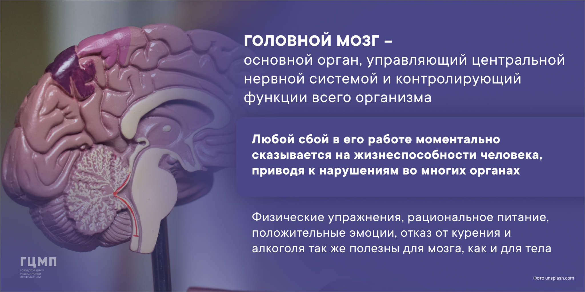 Brain 23. Деятельность головного мозга. Образования головного мозга. Неделя сохранения головного мозга. Аномалии головного мозга.